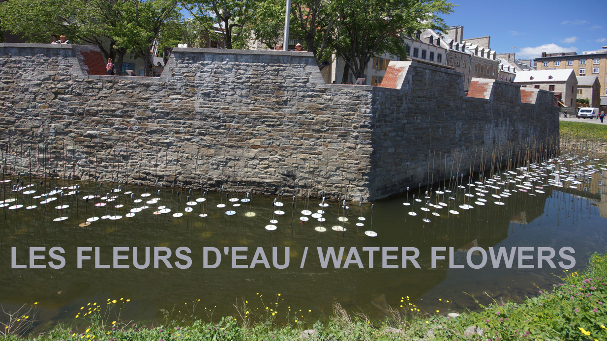 fleurs d'eau